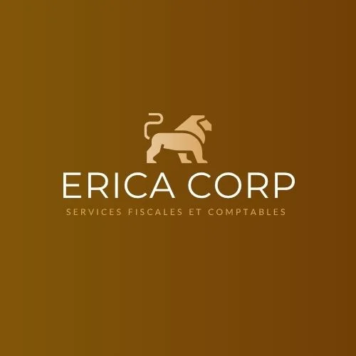 ERICA CORP — image 2