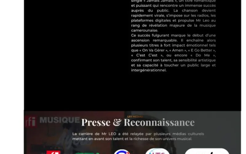 Mister LEO Website